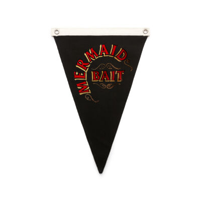 Fly the Flag- Drum Logo Thumbnail